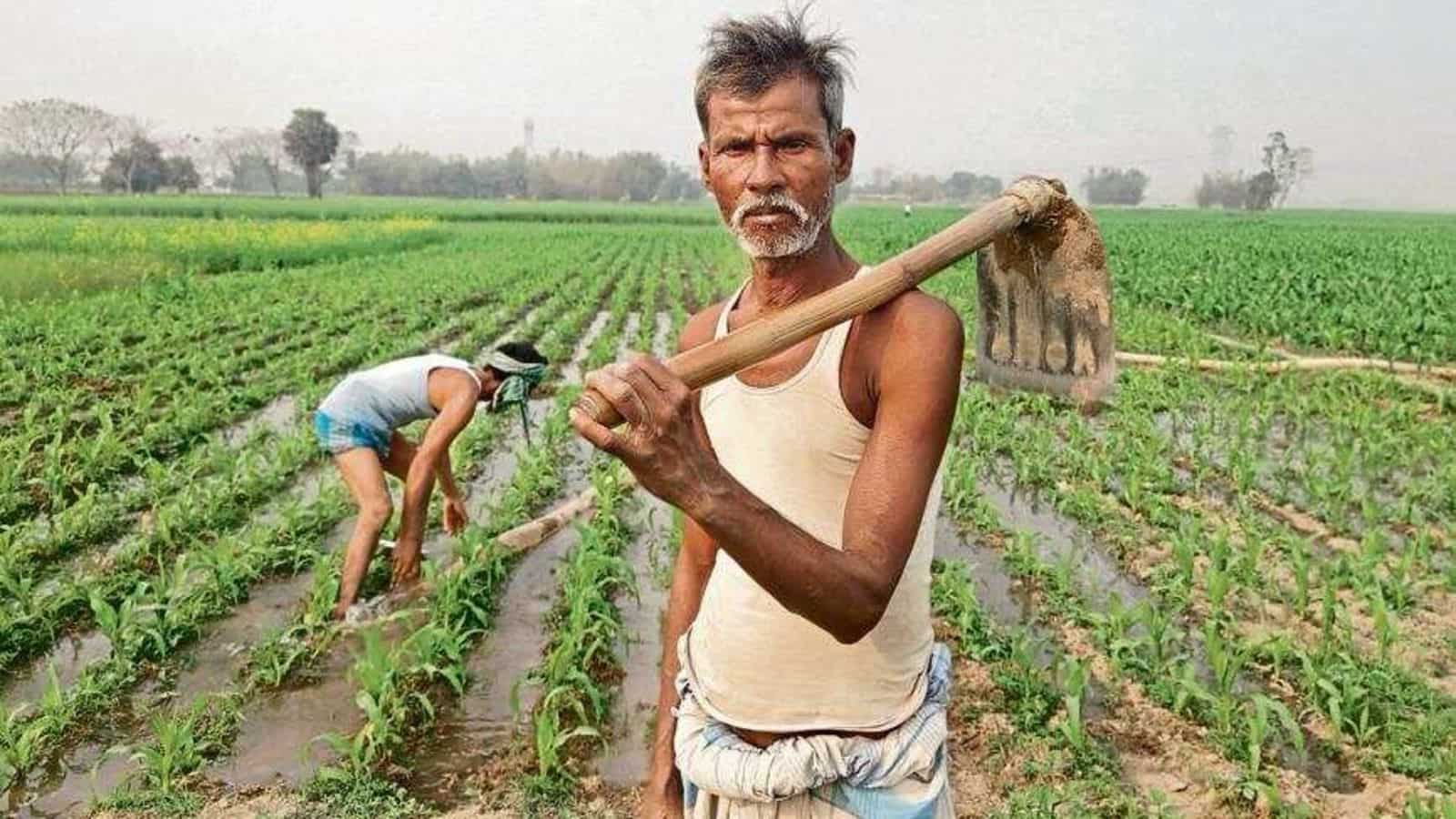 Cabinet nod to amend farmers debt relief Act 1