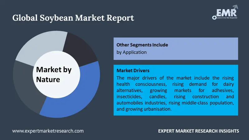 Soybean Market Analysis: A Comprehensive Look at the Latest Trends and Insights Through a Barchart